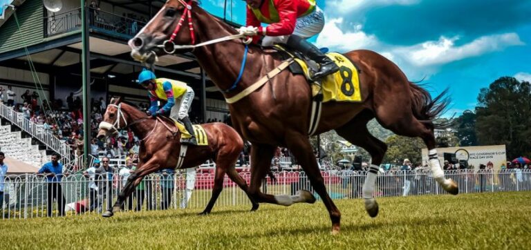 The Best Horse Racing Betting for Perfect Winning