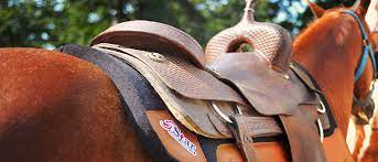 Know if Saddle Pad is needed for your horse